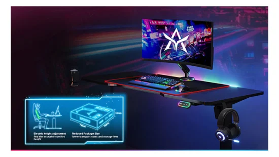 Scrivania in piedi da gioco con supporto per scrivania regolabile in altezza per laptop a motore singolo motorizzato personalizzabile all'ingrosso con illuminazione a LED RGB